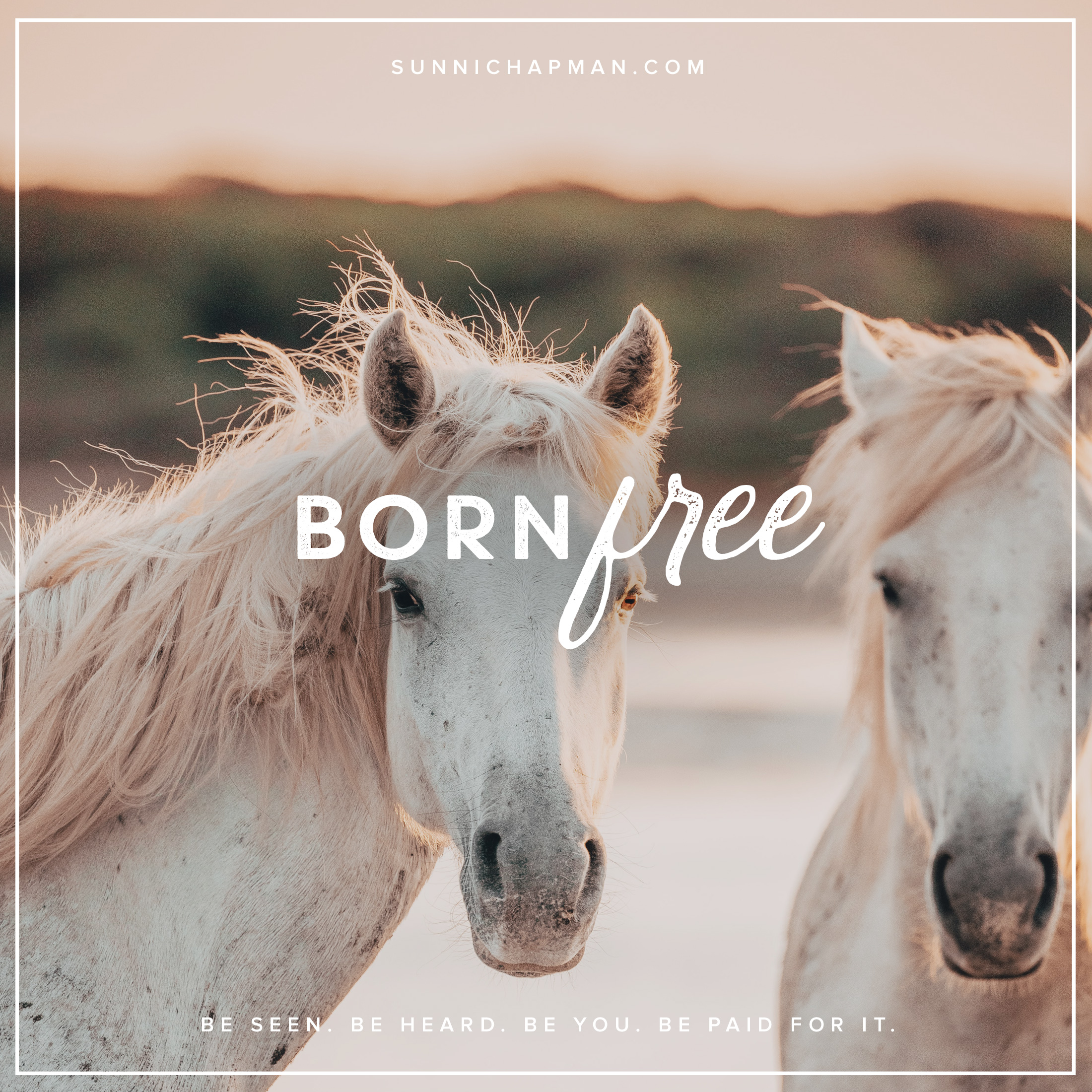 Two beautiful white horses and text: Born Free