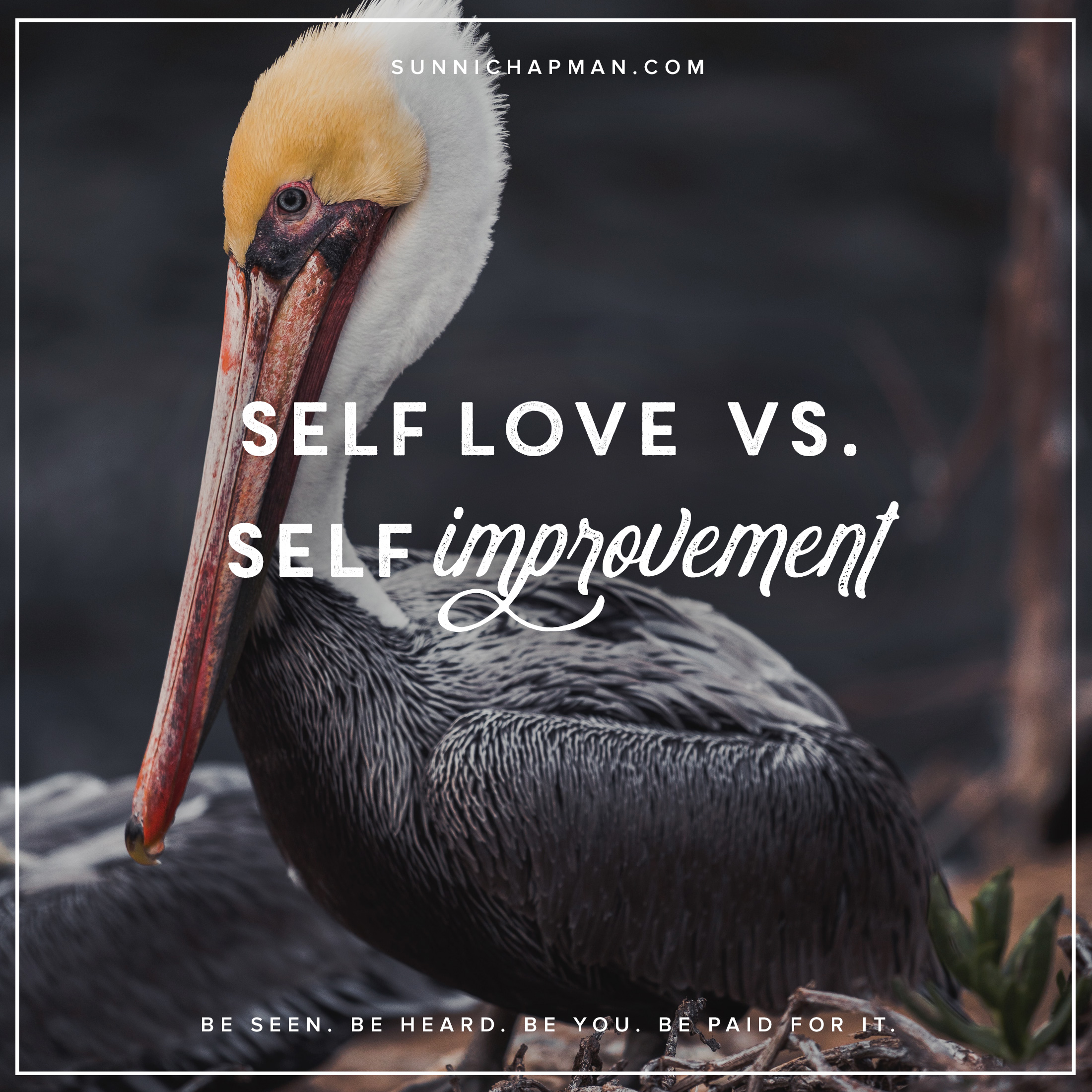 Pelican bird and text: Self-Love vs. Self-Improvement