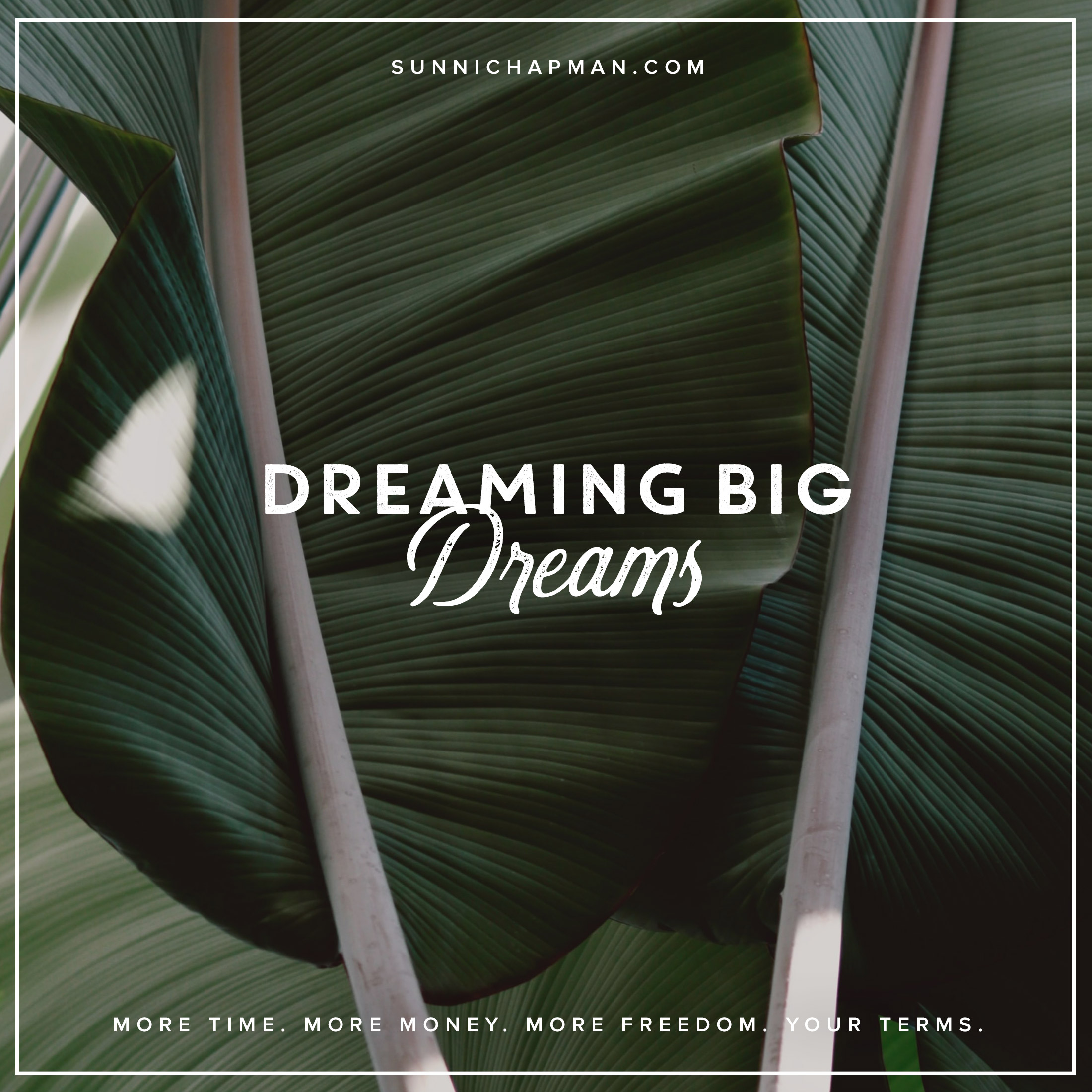 Large leaves of a tropical plant, and text: Dreaming Big Dreams