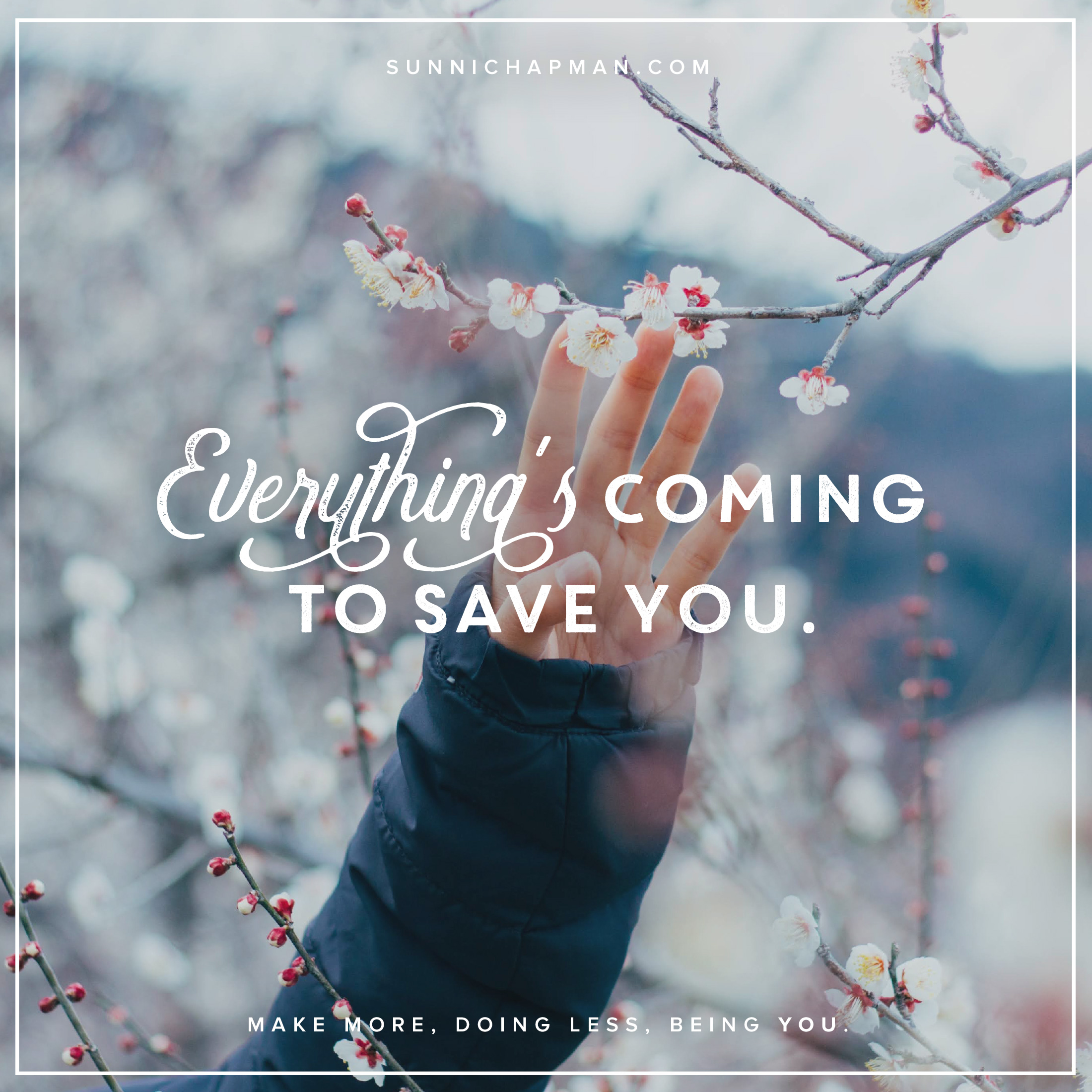 Women's hand reaching out to flower branch in the background, and text that says Everything's Coming To Save You