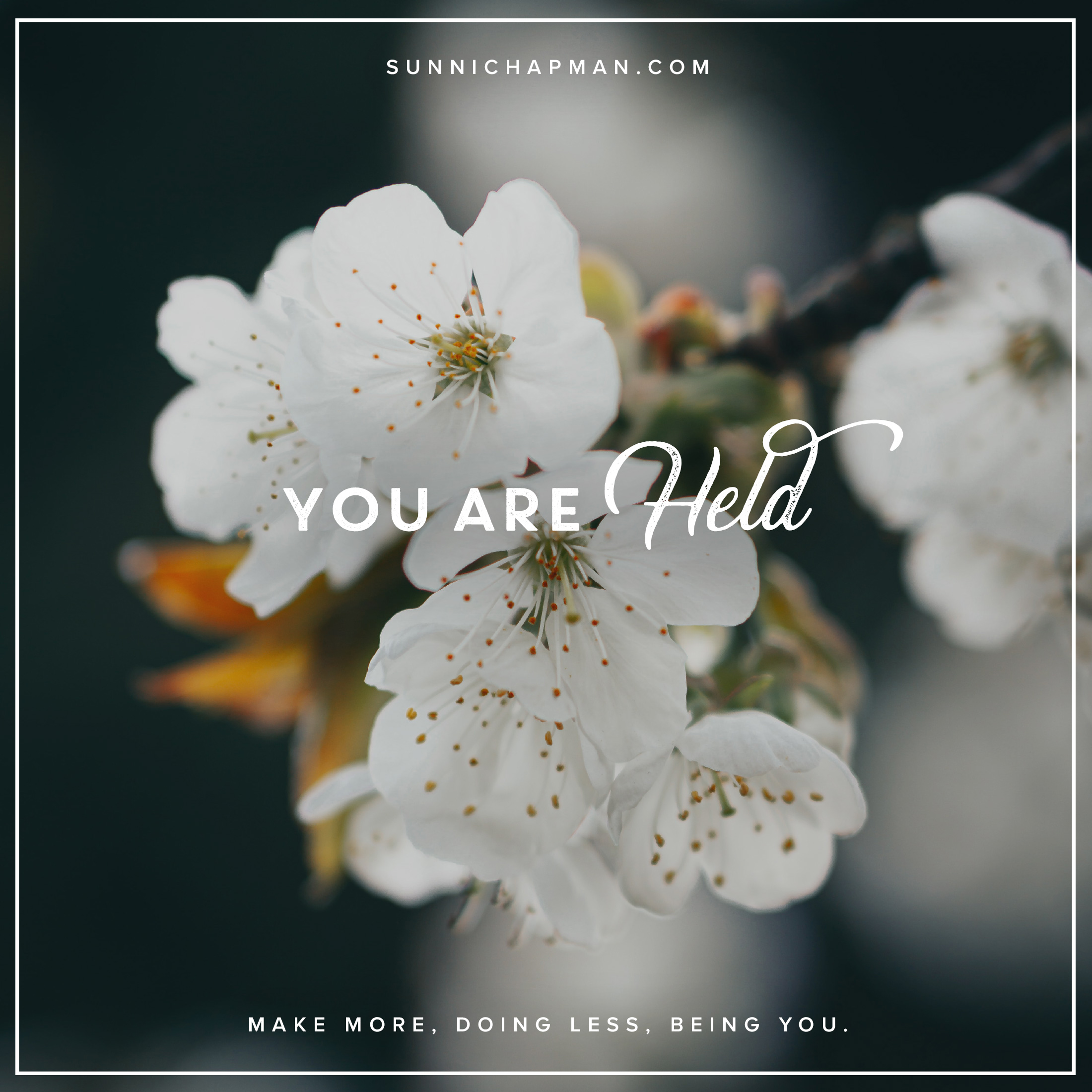 White flower in the background and text -  you are held