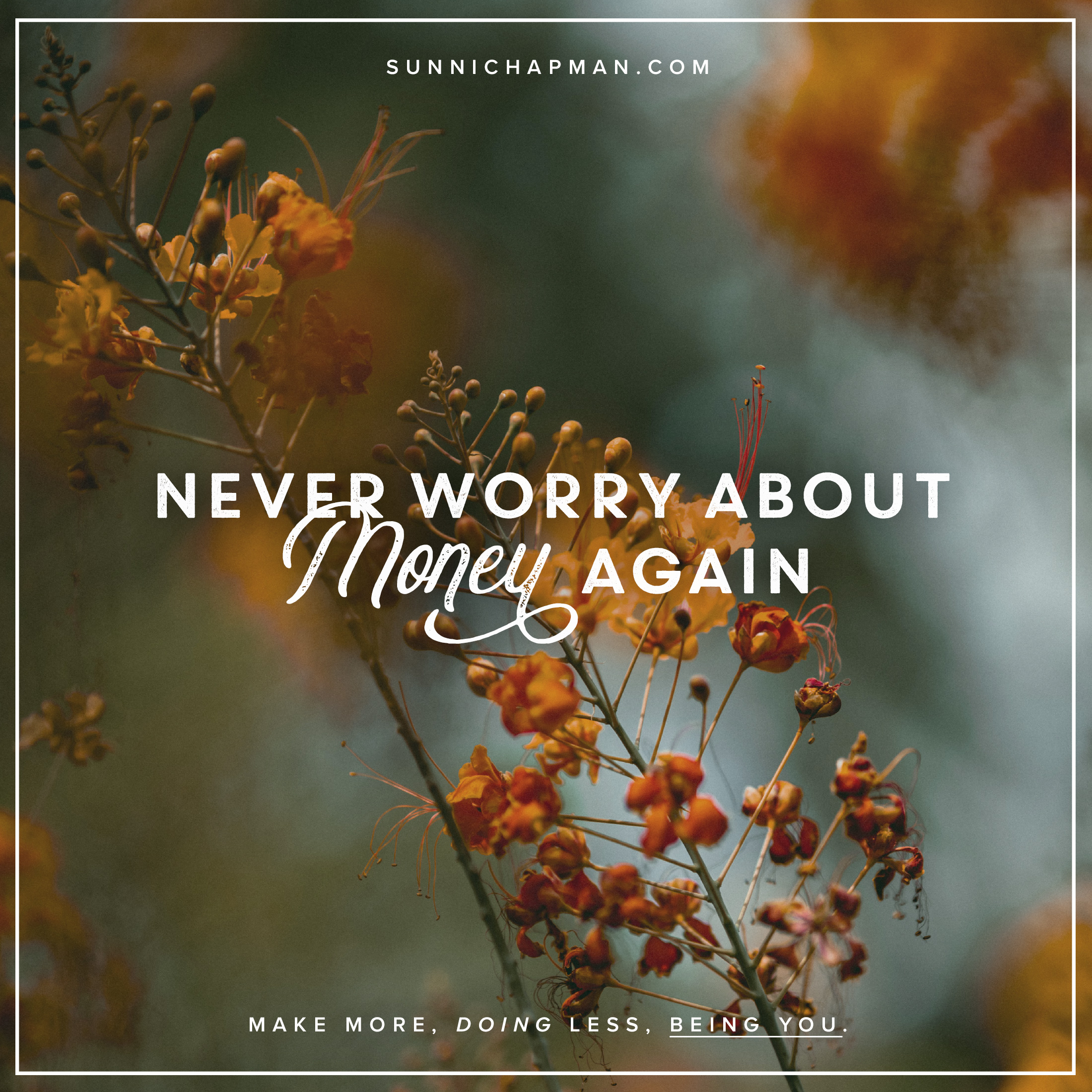 Beautiful orange flower in the background and text over it: Never Worry About Money again