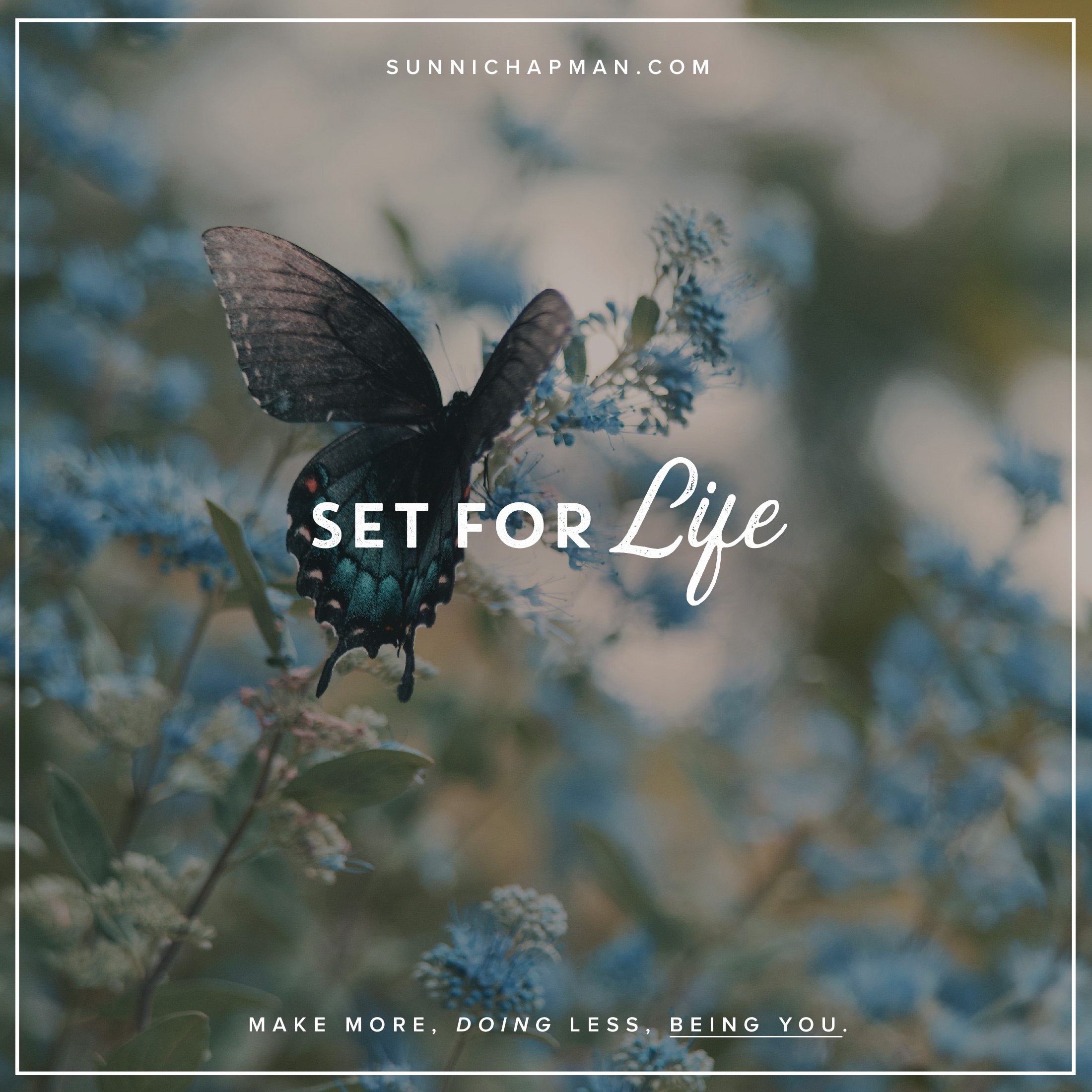 Butterfly on a beautiful blue flower and text over: Set For Life
