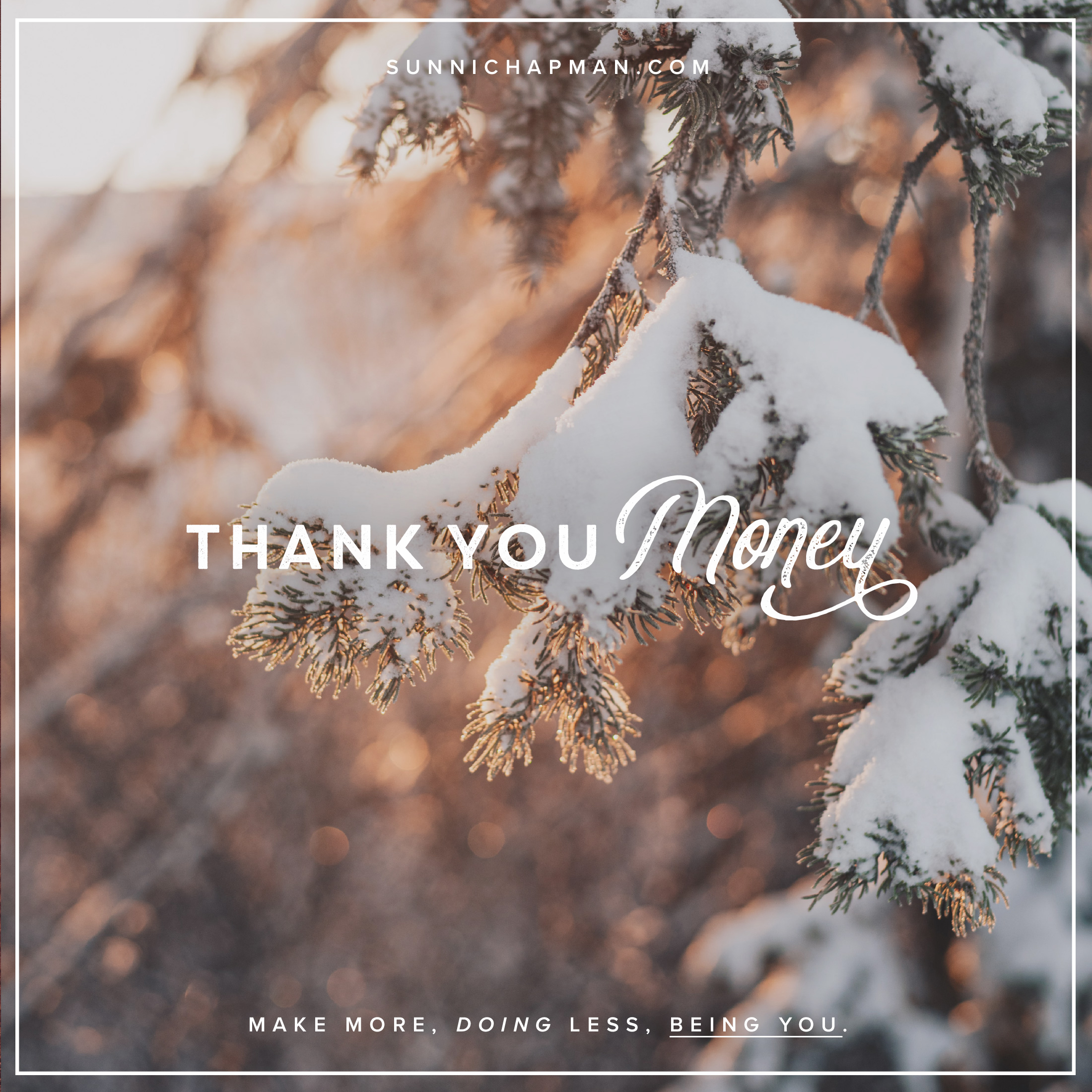 Snow over the tree branch and text: Thank You Money