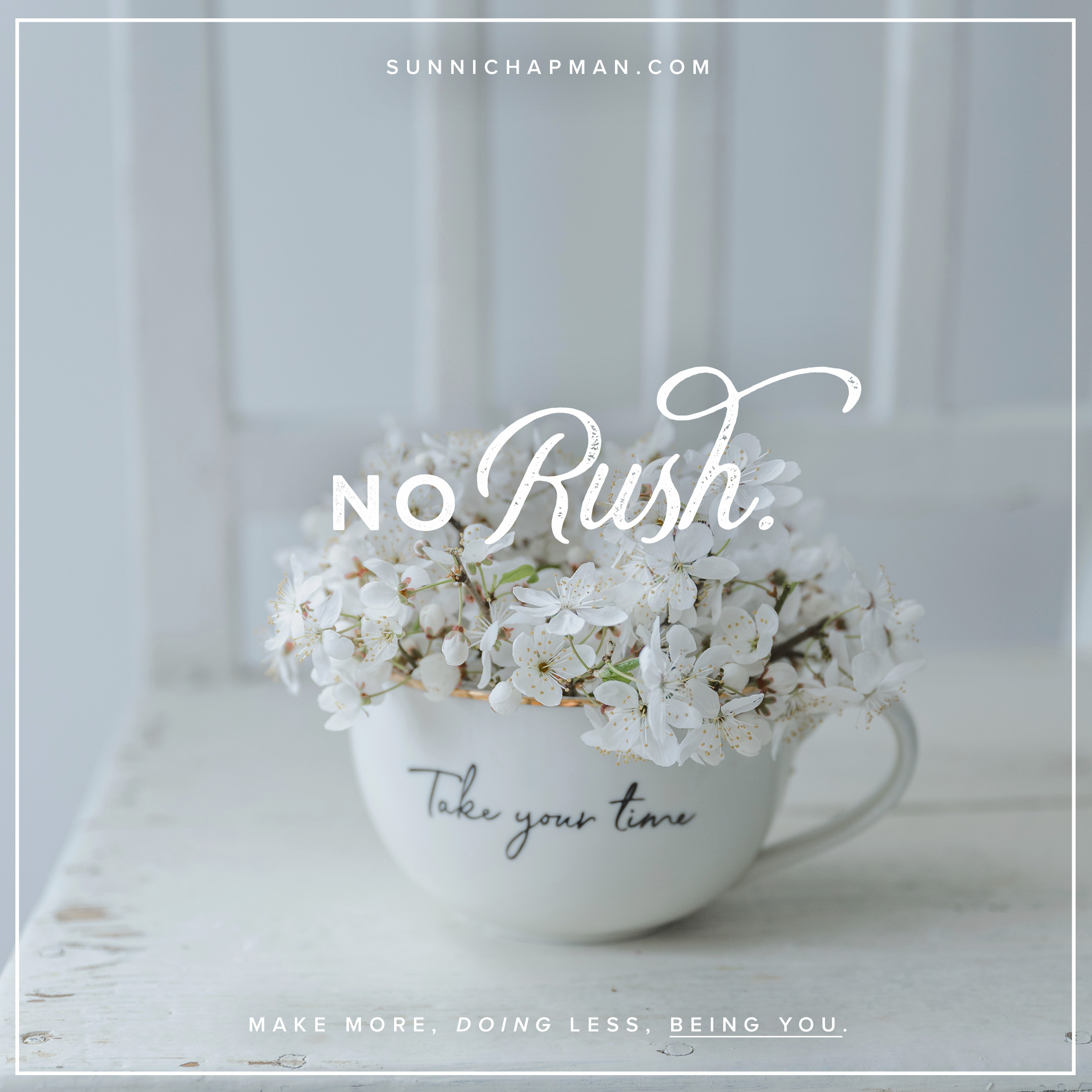 White flower in the tea cup with text "Take your Time" (on the cup) and image text is: No Rush