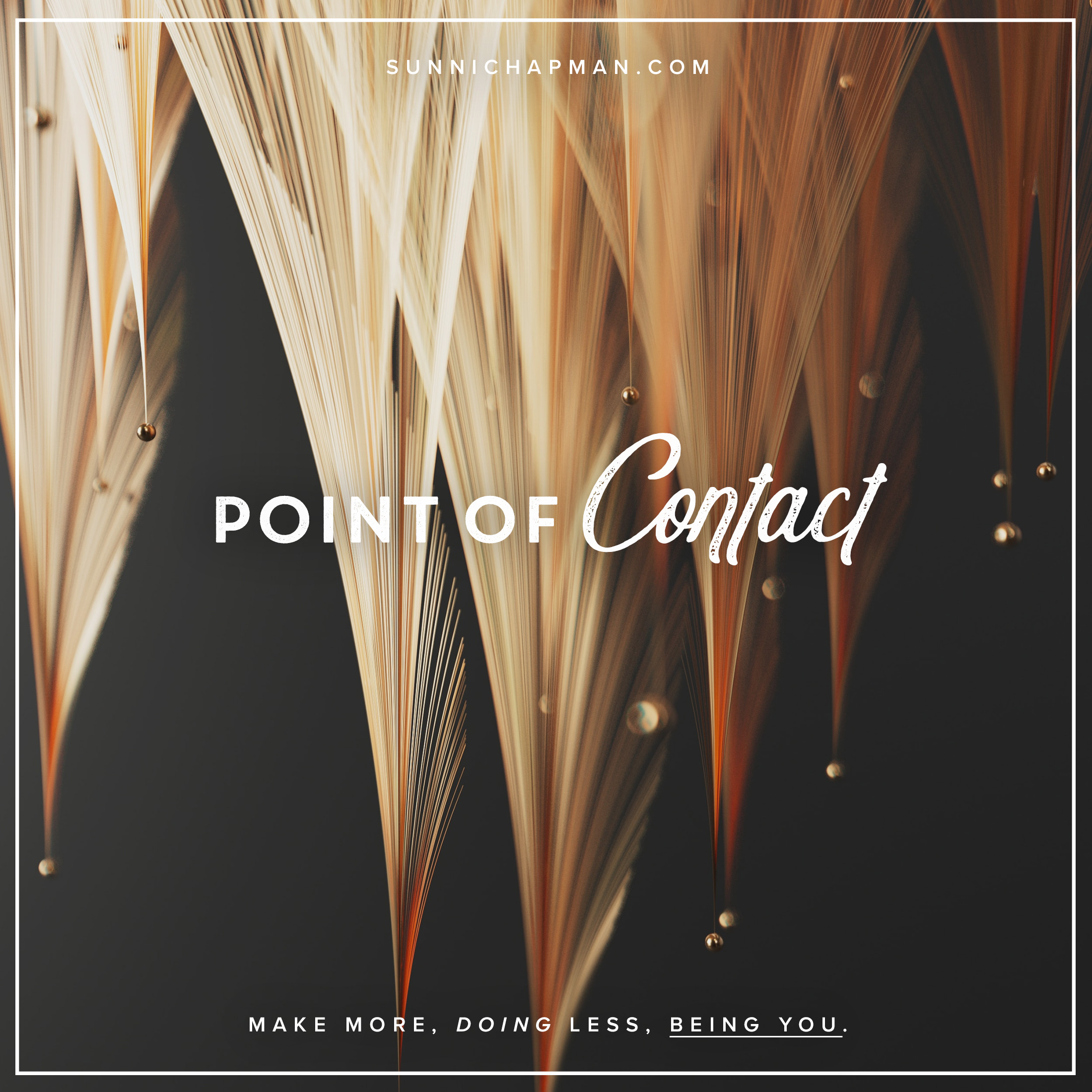 Point Of Contact