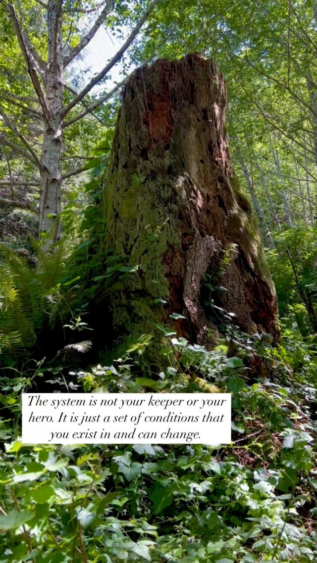 Some things to think about 🌿